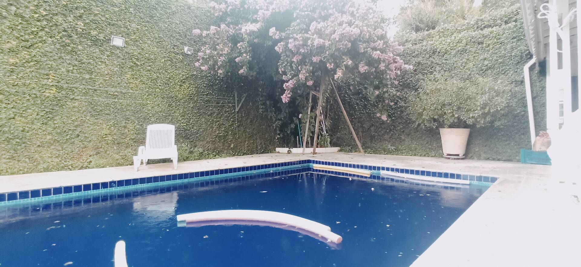 Casa, 4 quartos, 321 m² - Foto 36