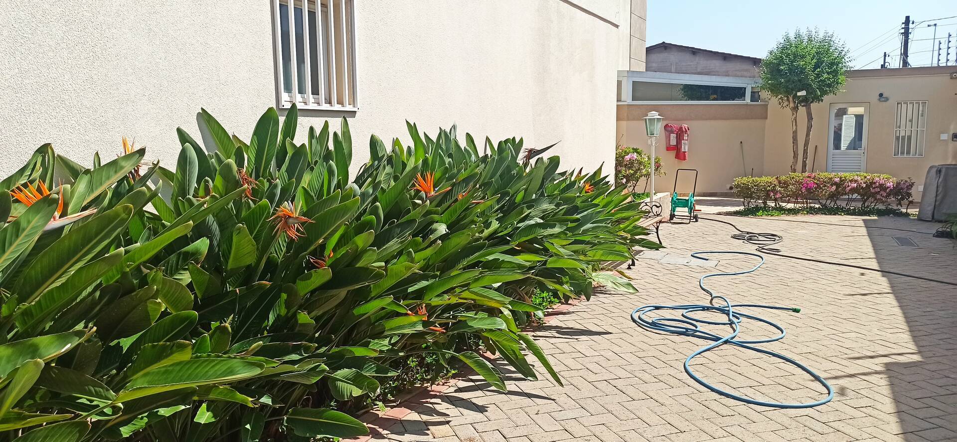 Casa de Condomínio, 3 quartos - Foto 44