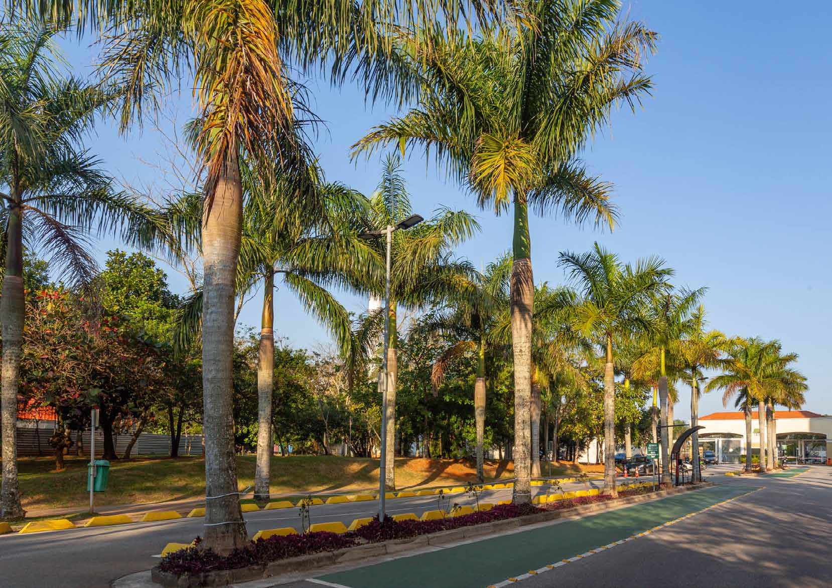 Casa de Condomínio, 3 quartos - Foto 23