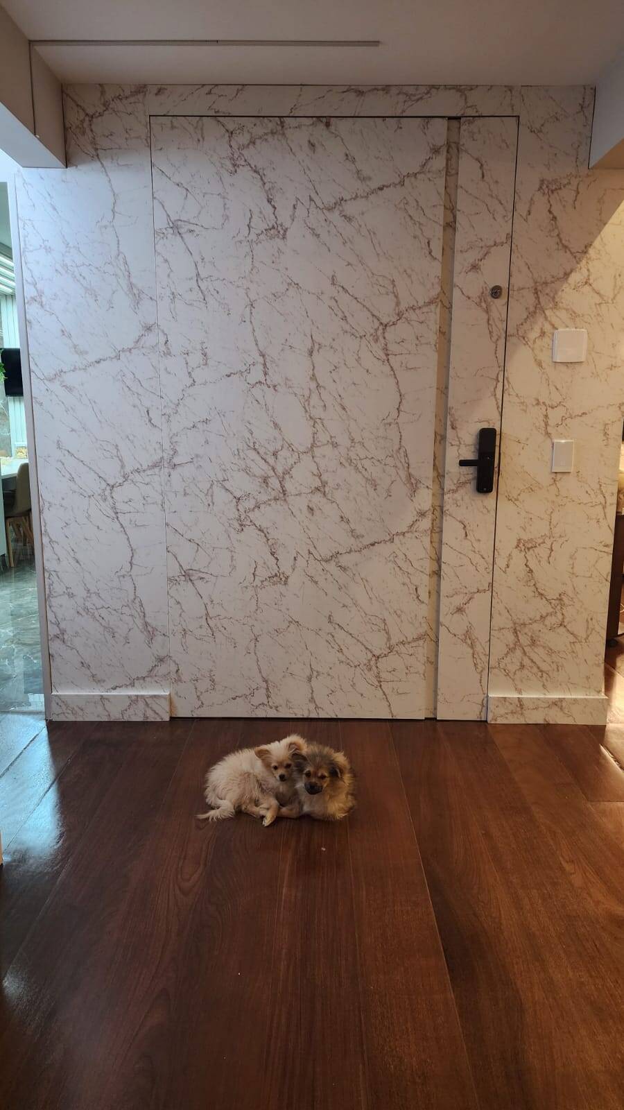 Apartamento, 4 quartos, 245 m² - Foto 8