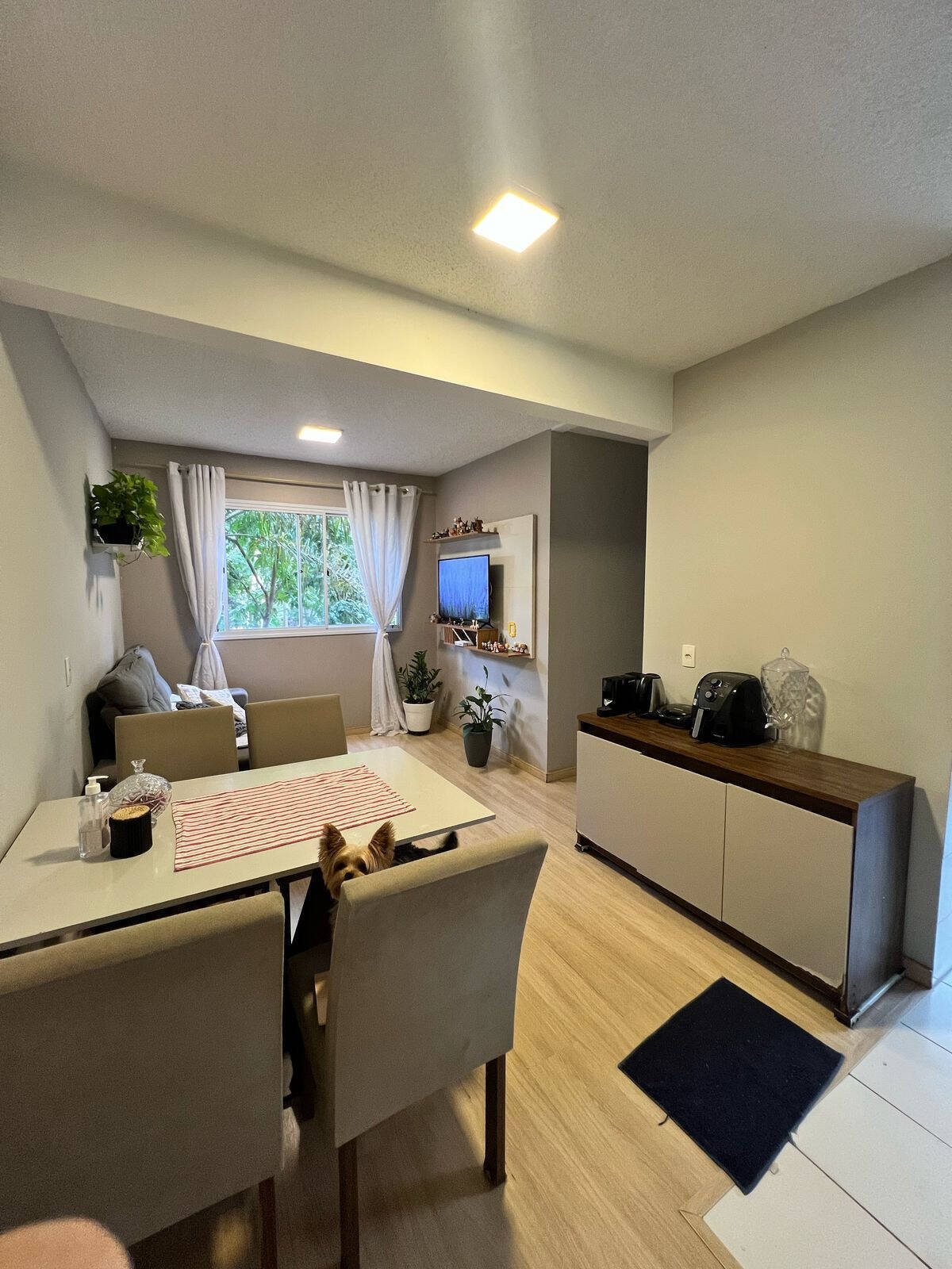 Apartamento, 2 quartos, 44 m² - Foto 1