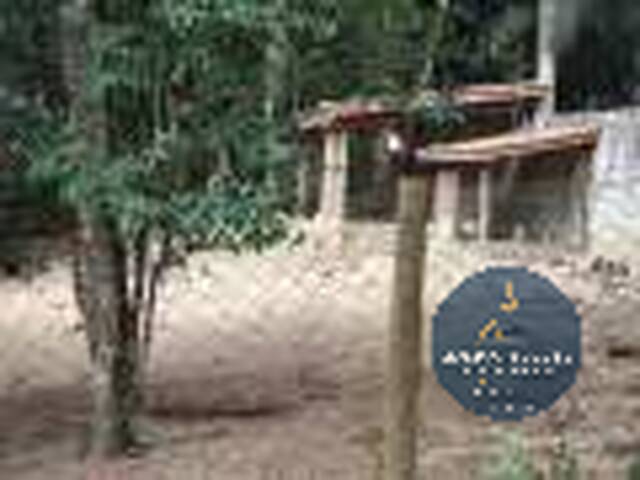 #731 - Sítio para Venda em Miracatu - SP