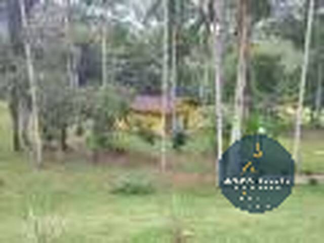 Sítio para Venda em Miracatu - 4