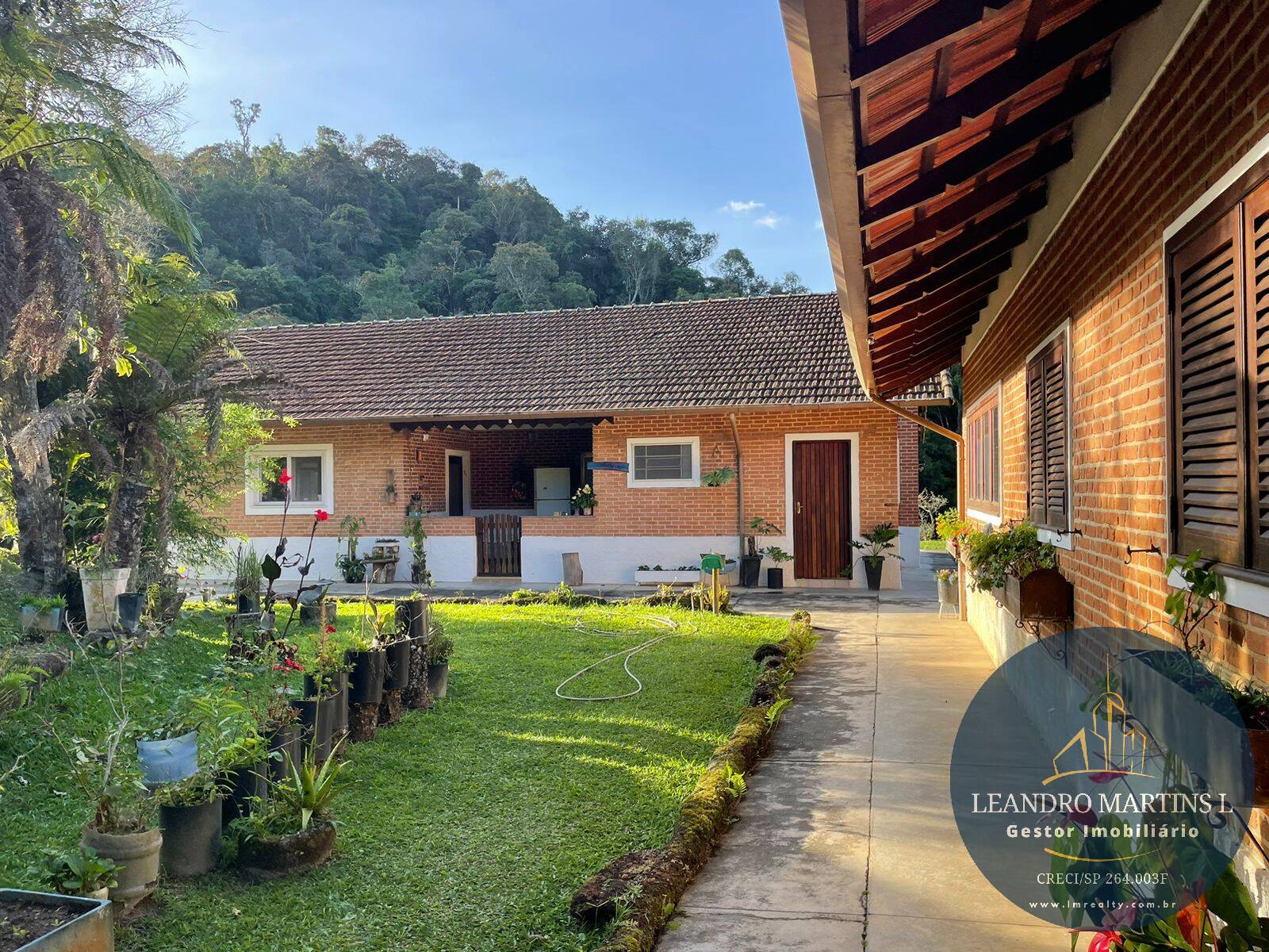 Sítio, 5 quartos, 32 hectares - Foto 1