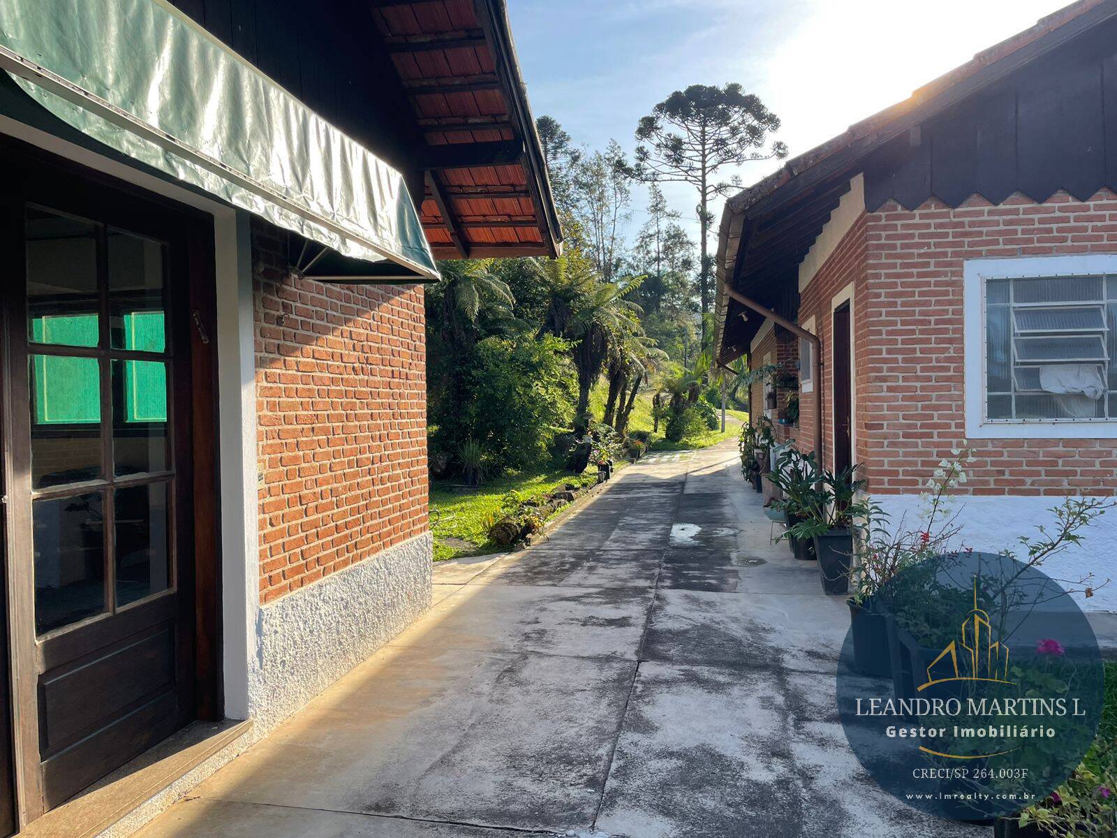 Sítio, 5 quartos, 32 hectares - Foto 6