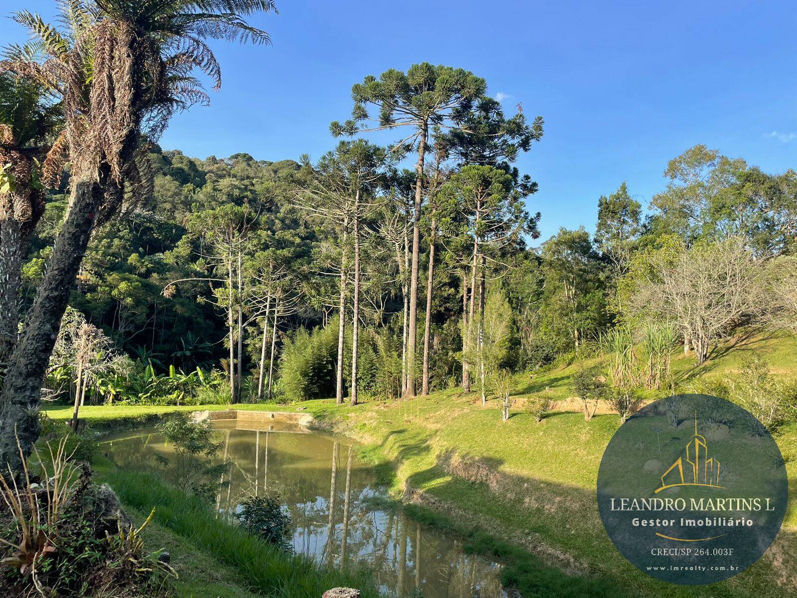 Sítio, 5 quartos, 32 hectares - Foto 24