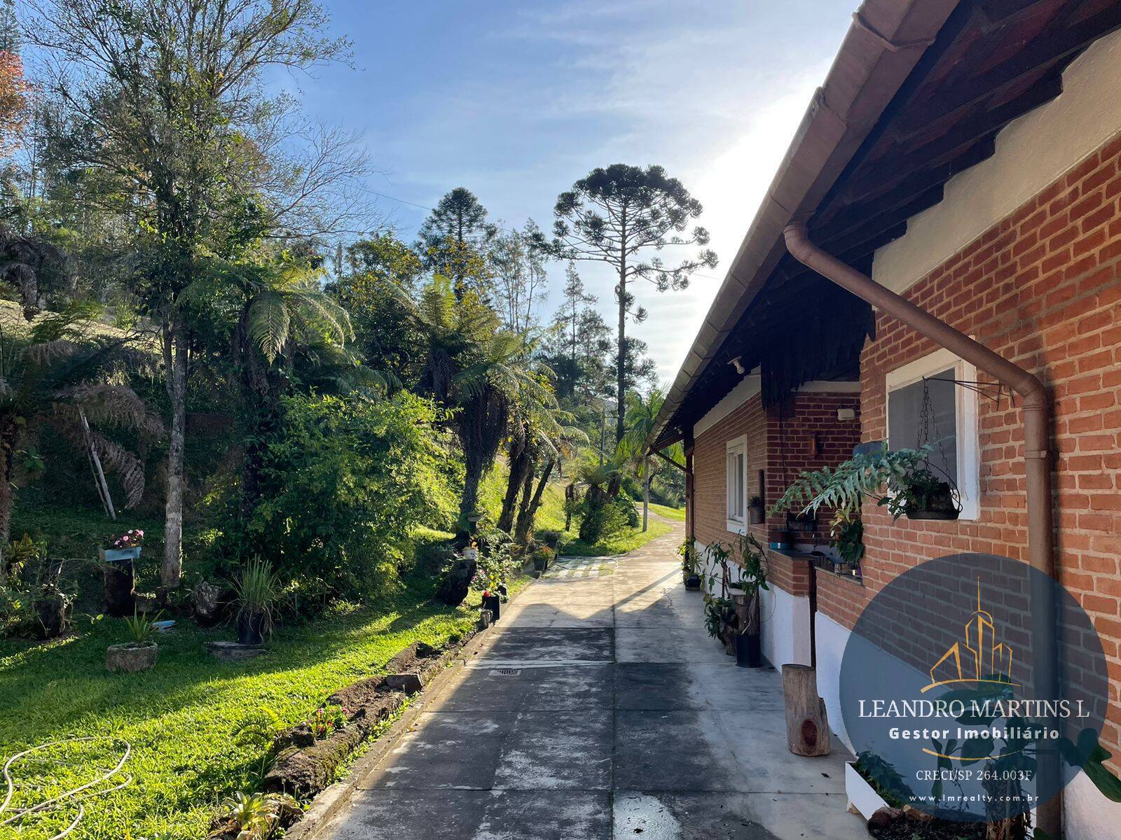 Sítio, 5 quartos, 32 hectares - Foto 12