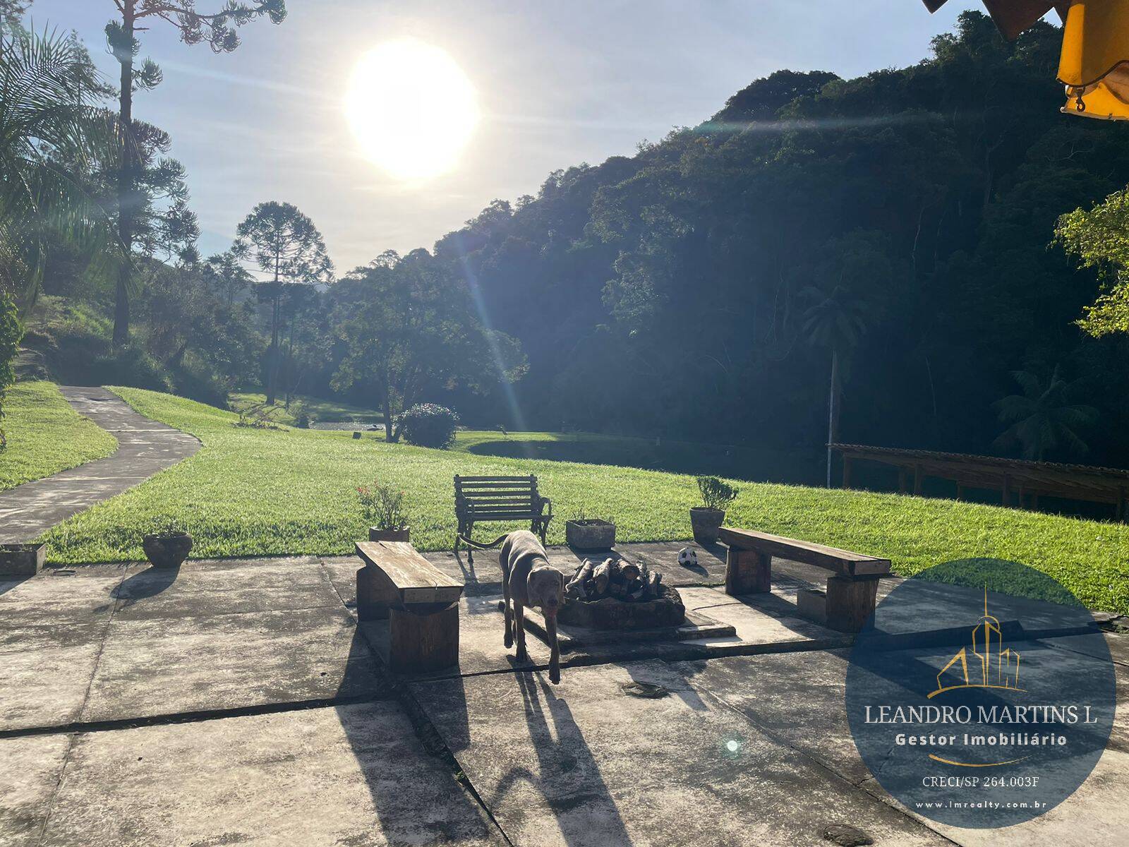 Sítio, 5 quartos, 32 hectares - Foto 18