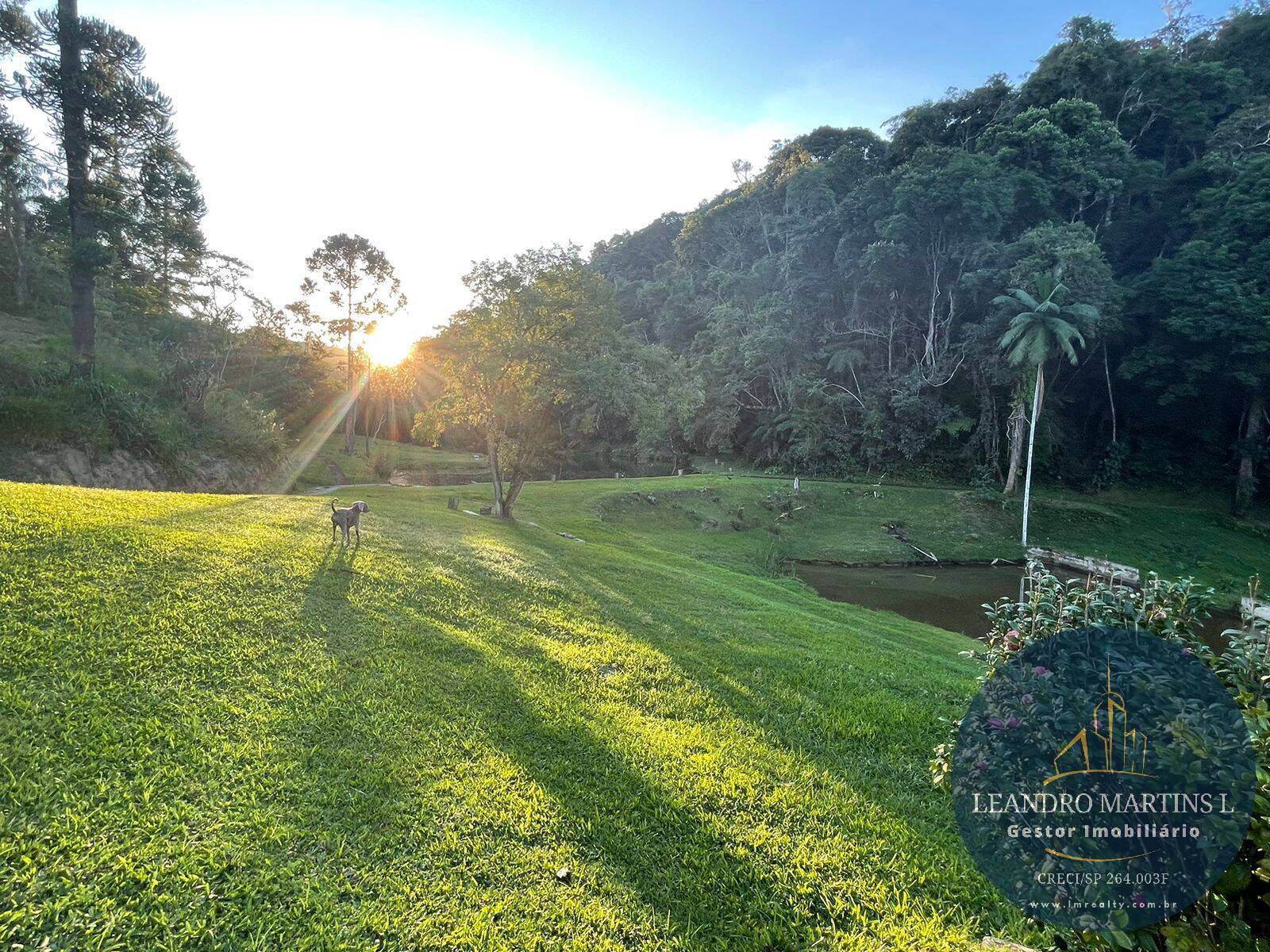 Sítio, 5 quartos, 32 hectares - Foto 26