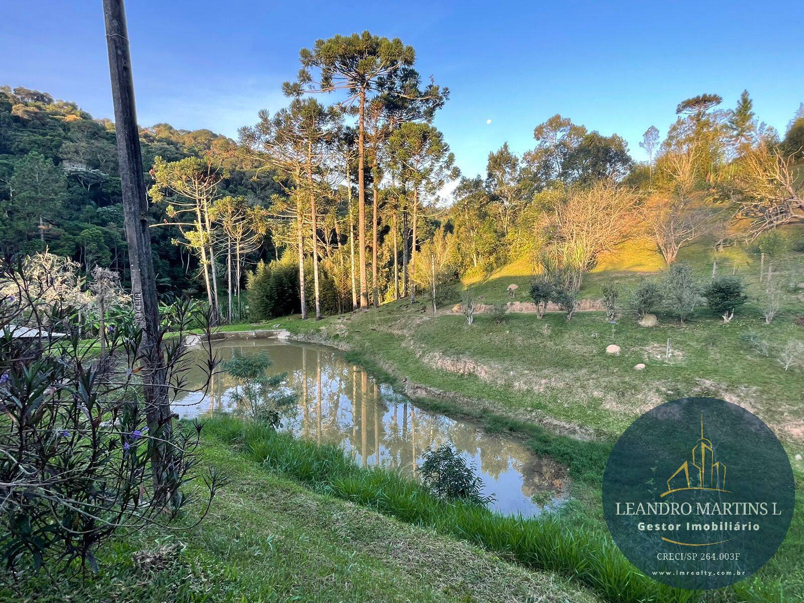 Sítio, 5 quartos, 32 hectares - Foto 28