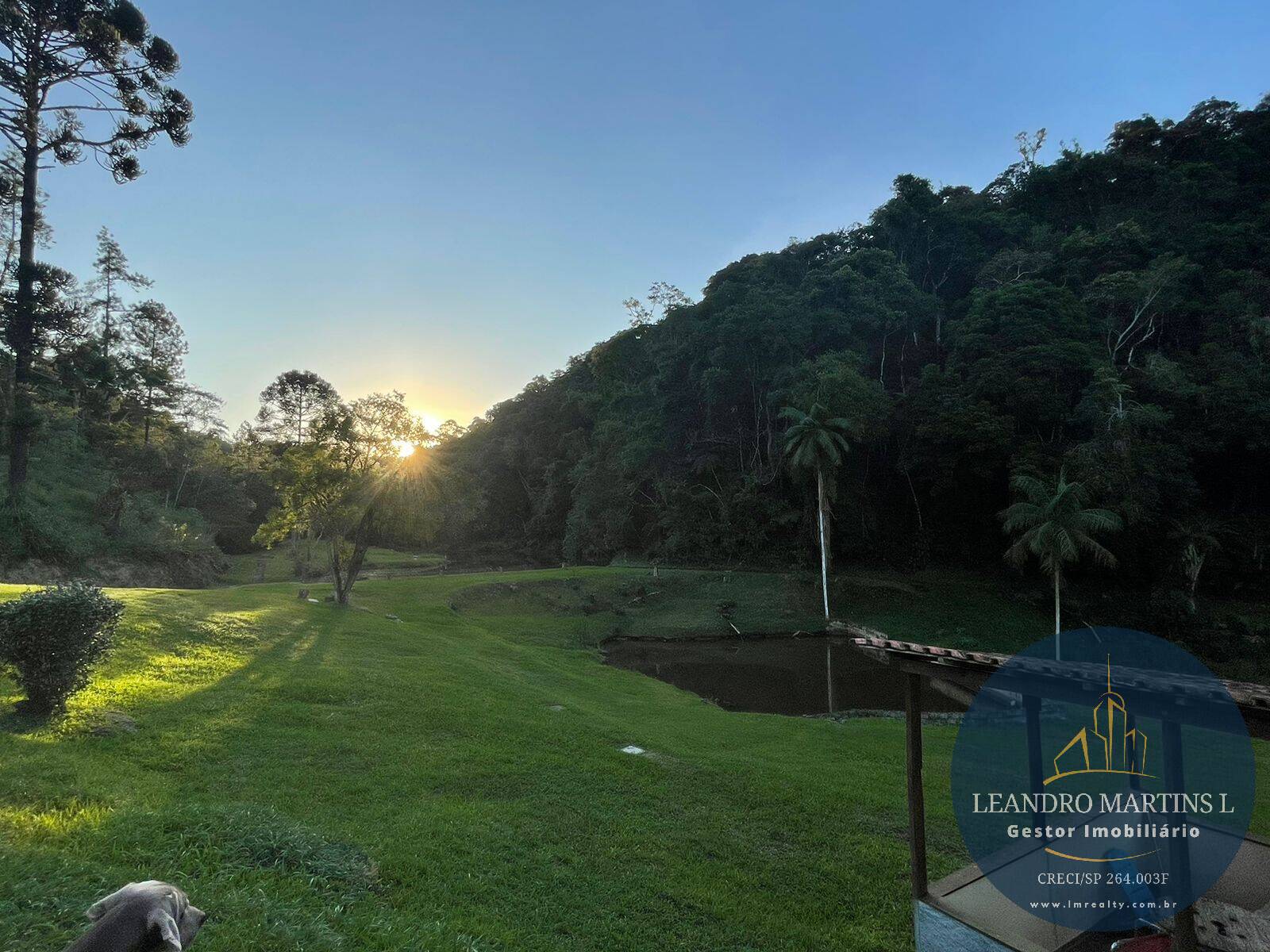 Sítio, 5 quartos, 32 hectares - Foto 27