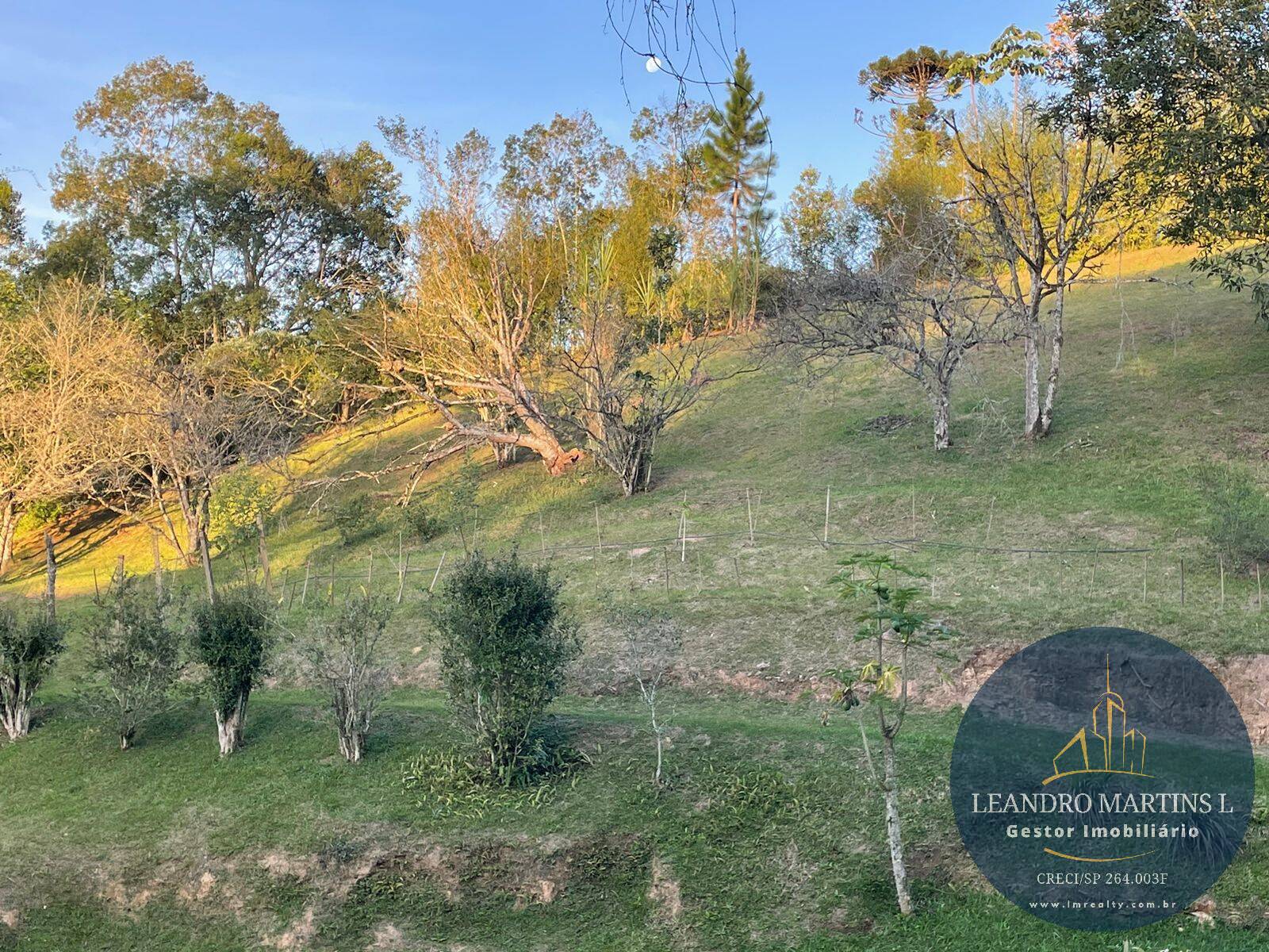 Sítio, 5 quartos, 32 hectares - Foto 30