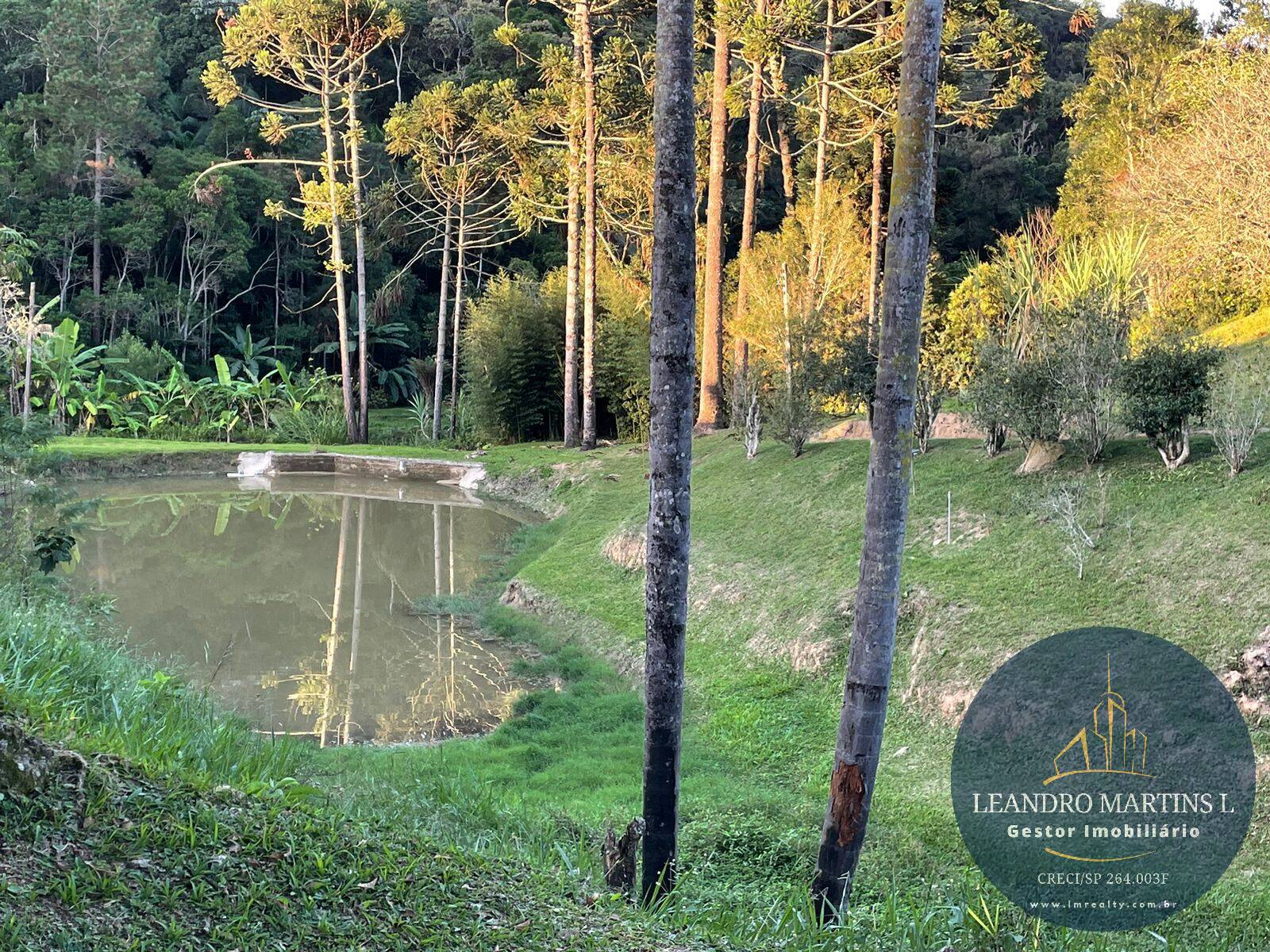 Sítio, 5 quartos, 32 hectares - Foto 32