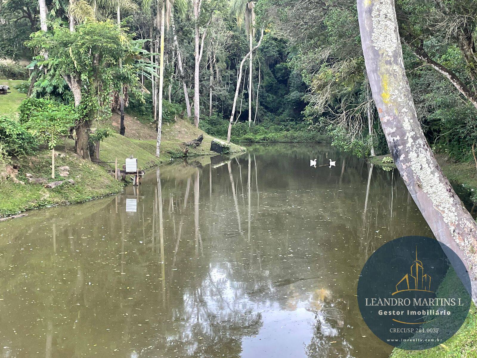 Sítio, 5 quartos, 32 hectares - Foto 33