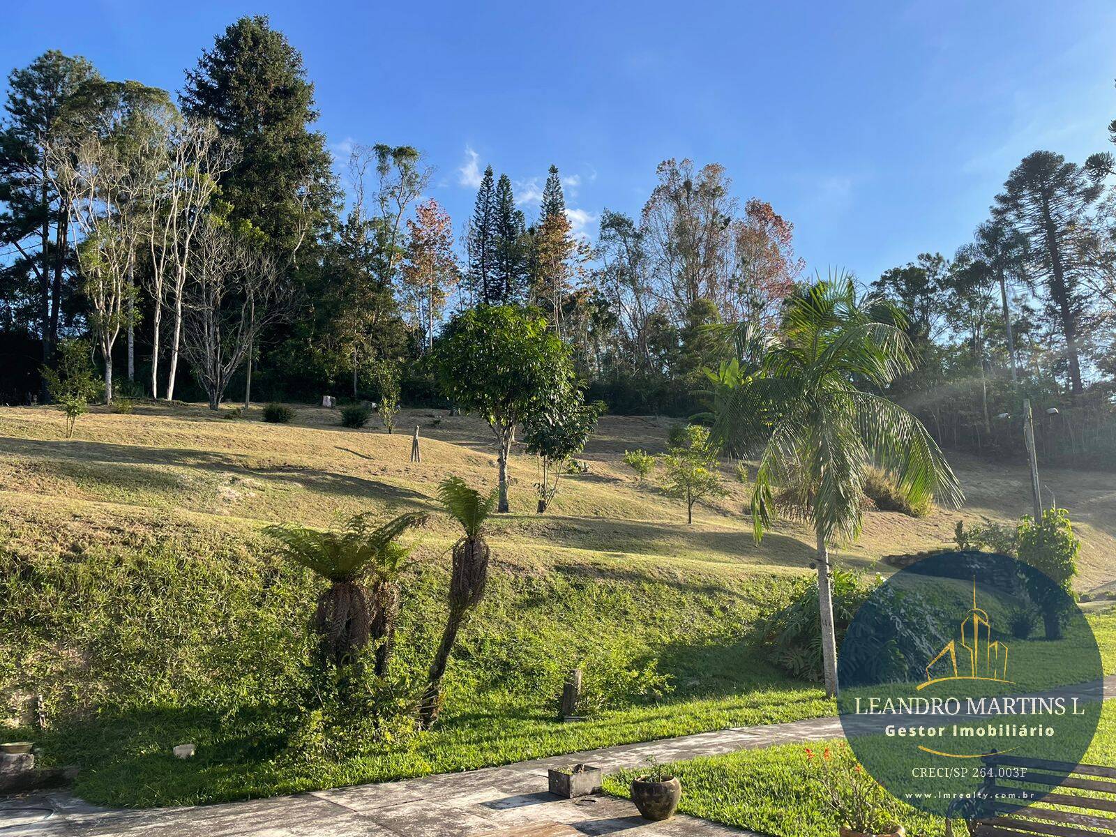 Sítio, 5 quartos, 32 hectares - Foto 34