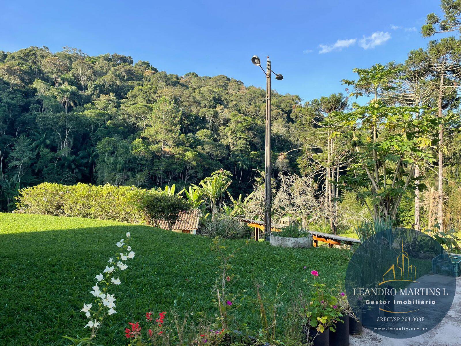 Sítio, 5 quartos, 32 hectares - Foto 35